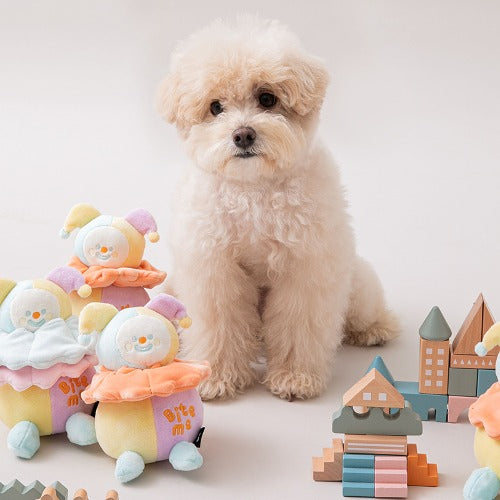 CLOWN // nosework toy