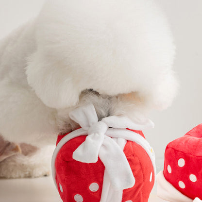 GIFT BOX // nosework toy