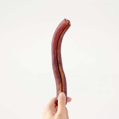 Pizzle Whiz // 牛俊杰