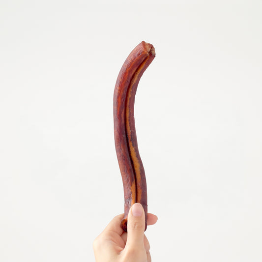 Pizzle Whiz // 牛俊杰