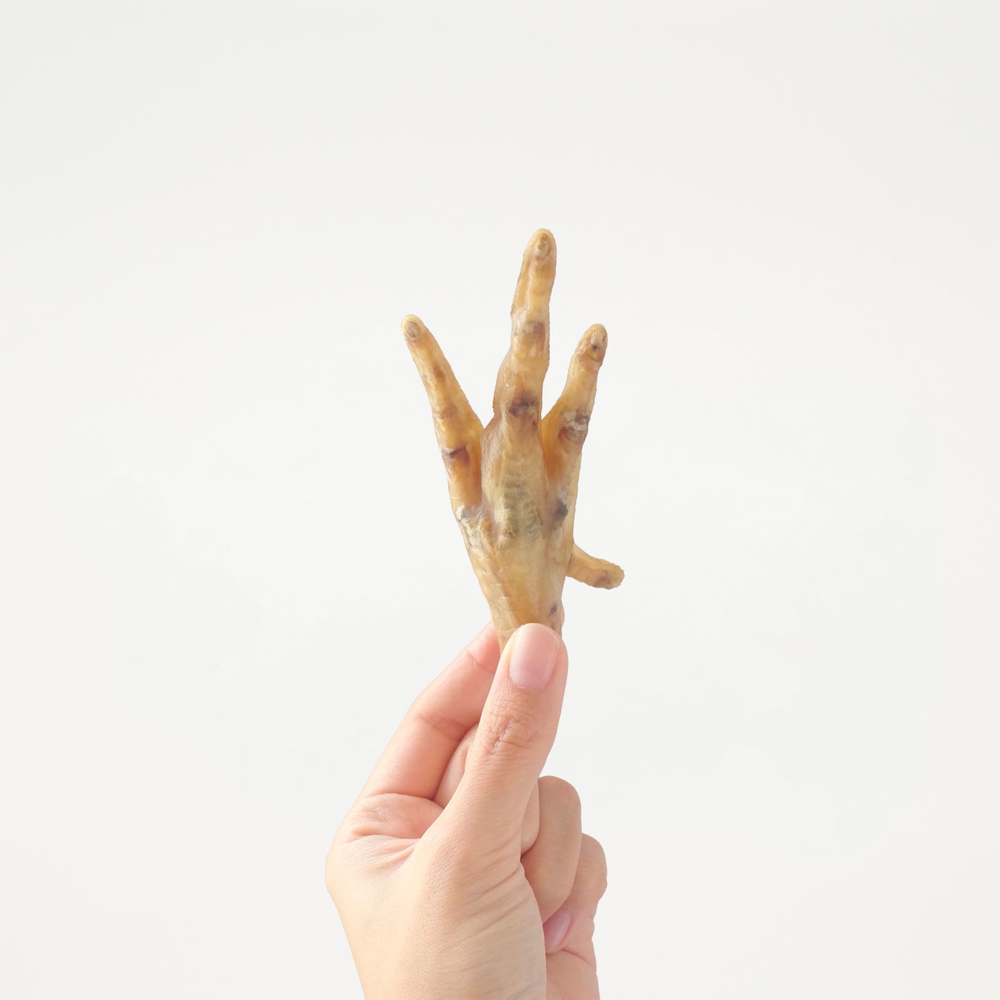 Zombie Chicken Feet // 怪獸雞腳