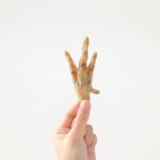 Zombie Chicken Feet // 怪獸雞腳