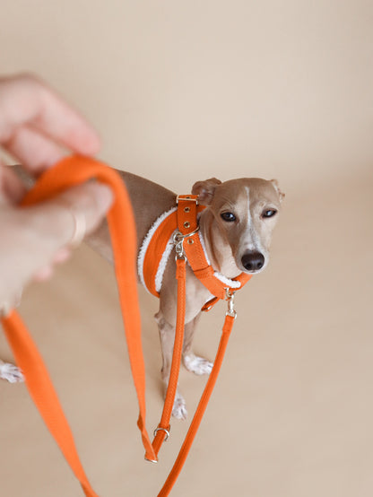 LINJE // convertible fine leash