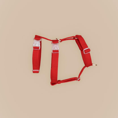 XII // plain escape-resistant harness