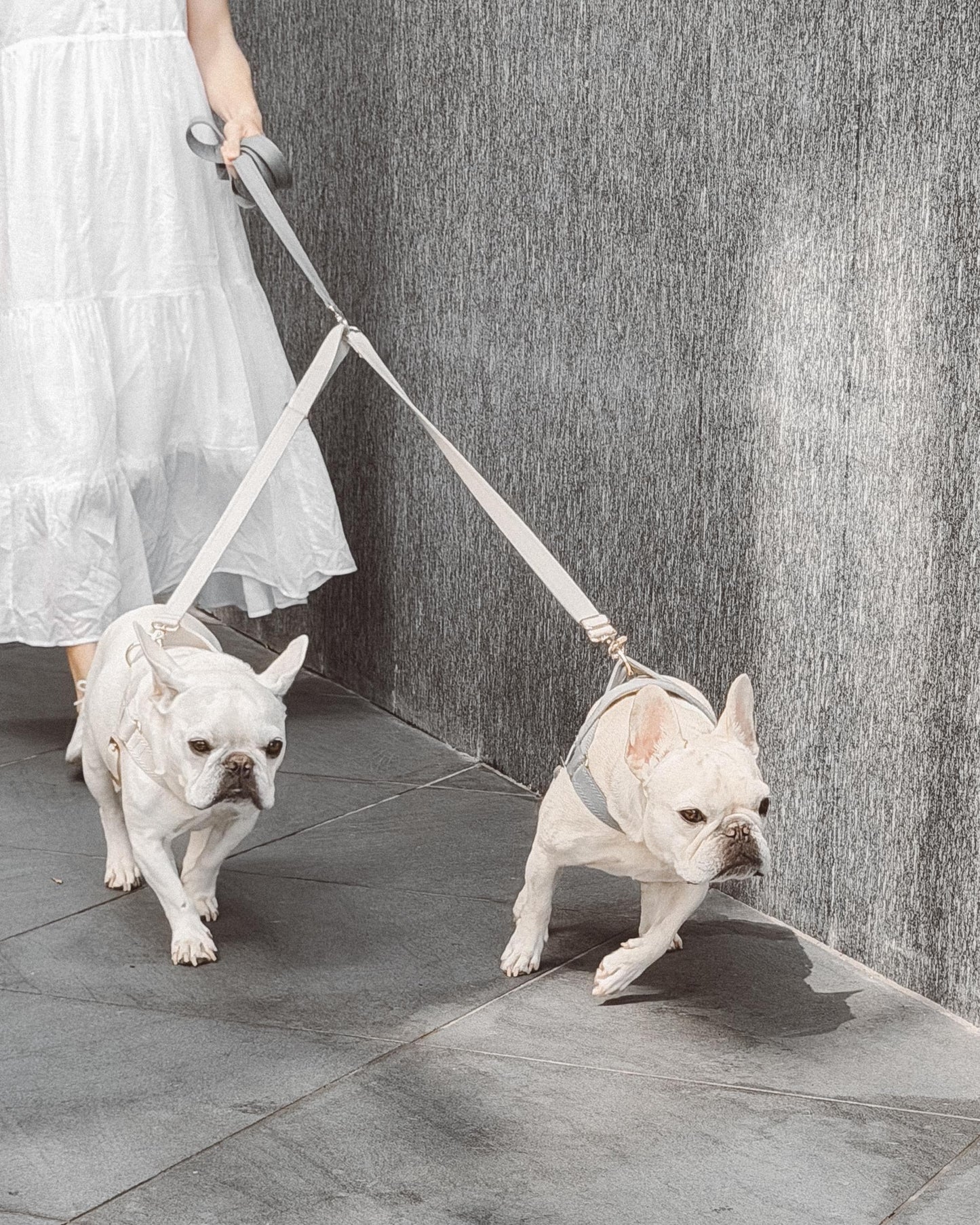 FUTAGO // crossbody coupler leash
