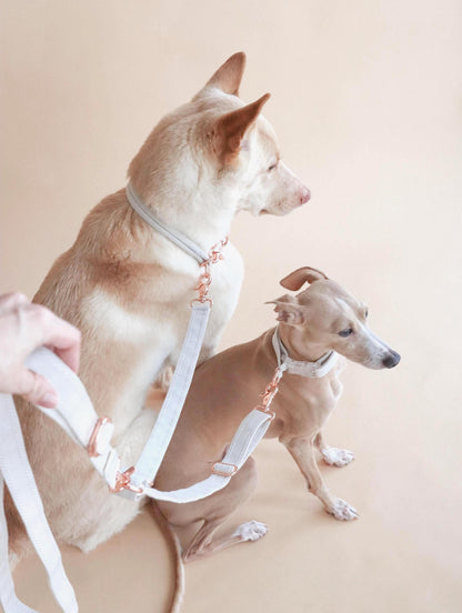 FUTAGO // crossbody coupler leash