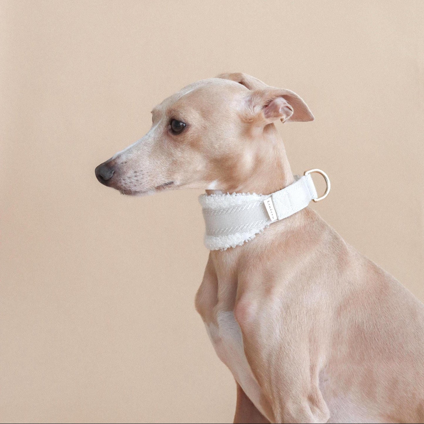 LIÉE // fluffy martingale collar