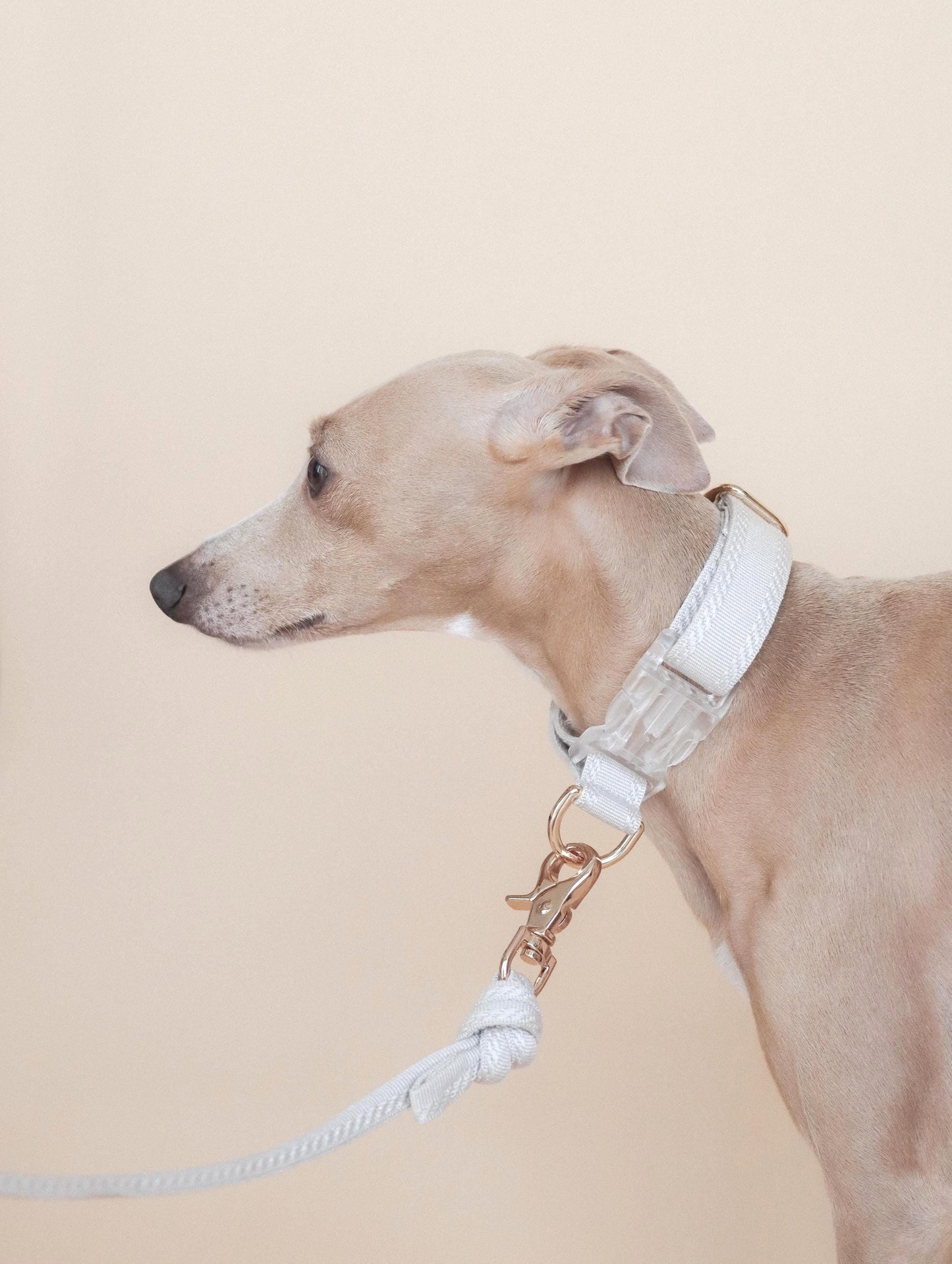 FIÏN // regular leash