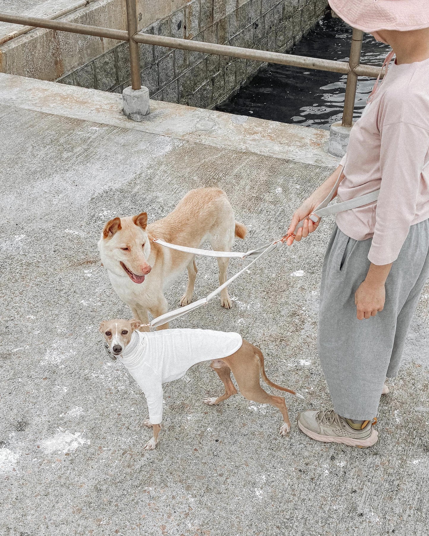 FUTAGO // crossbody coupler leash