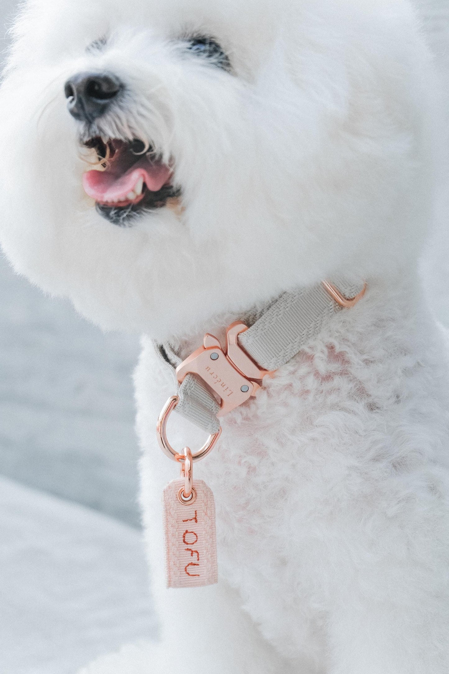 LIÉE // plain martingale collar