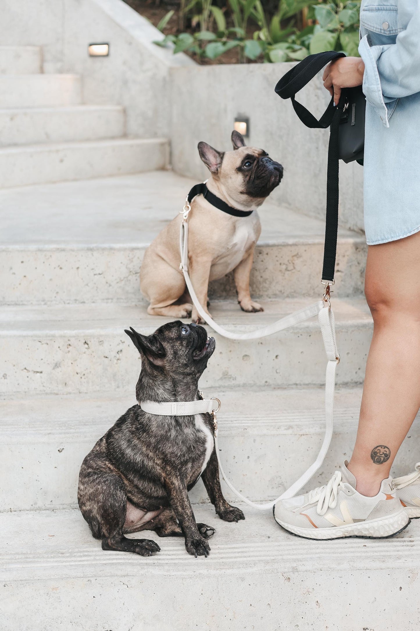 FUTAGO // crossbody coupler leash