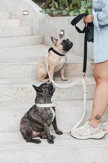 FUTAGO // crossbody coupler leash