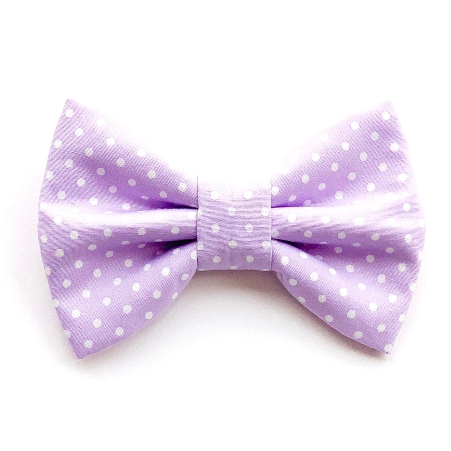 TARO DOTS // bow