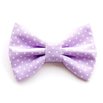 TARO DOTS // bow