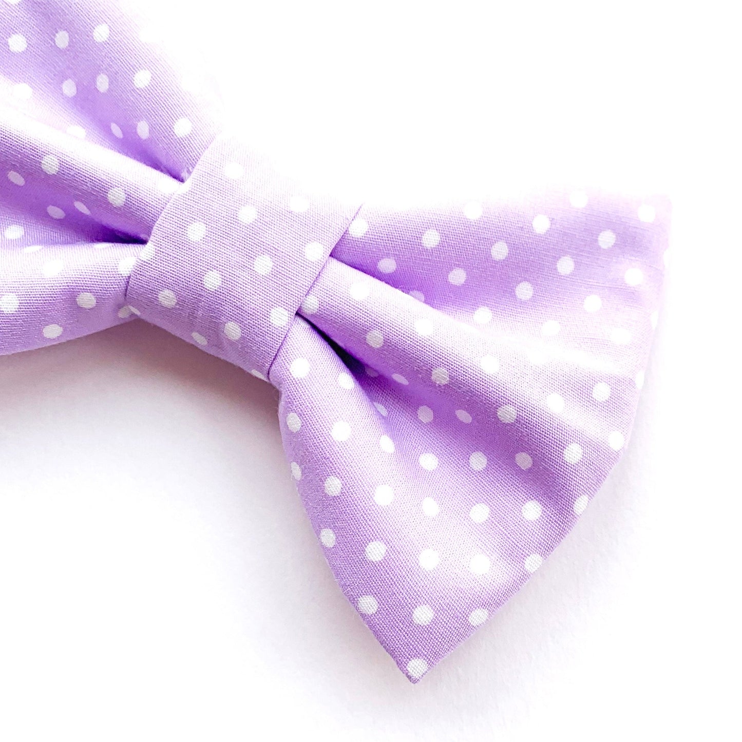 TARO DOTS // bow