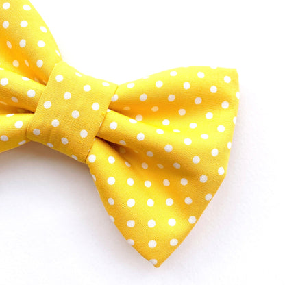 MUSTARD DOTS // bow