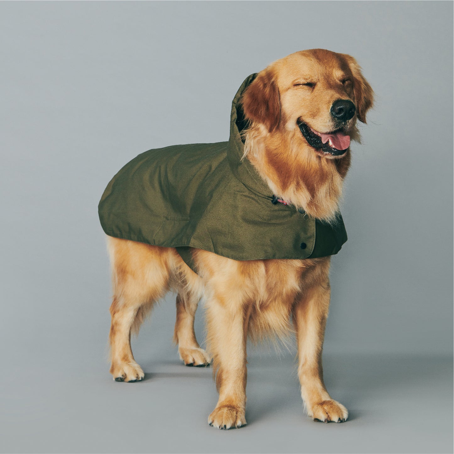 Yama Paws Utility Coat