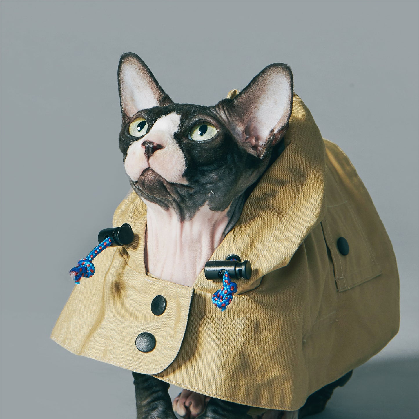 Yama Paws Utility Coat