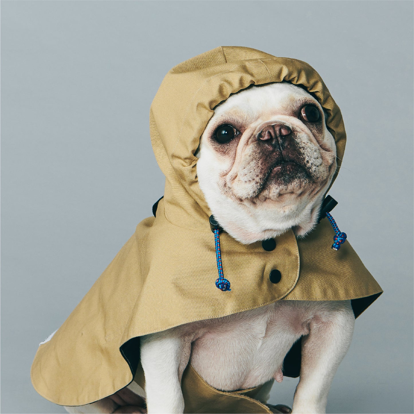 Yama Paws Utility Coat