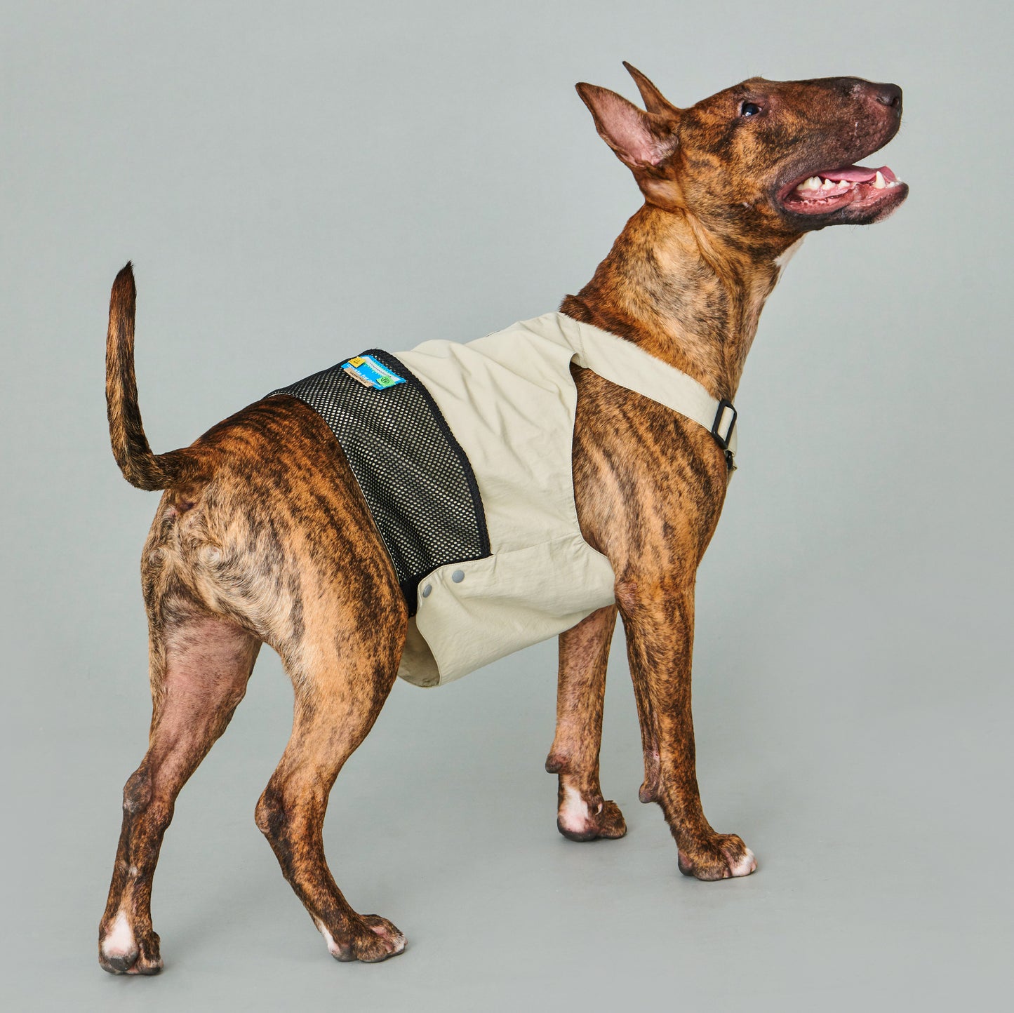 Yama Paws Montagna Vest