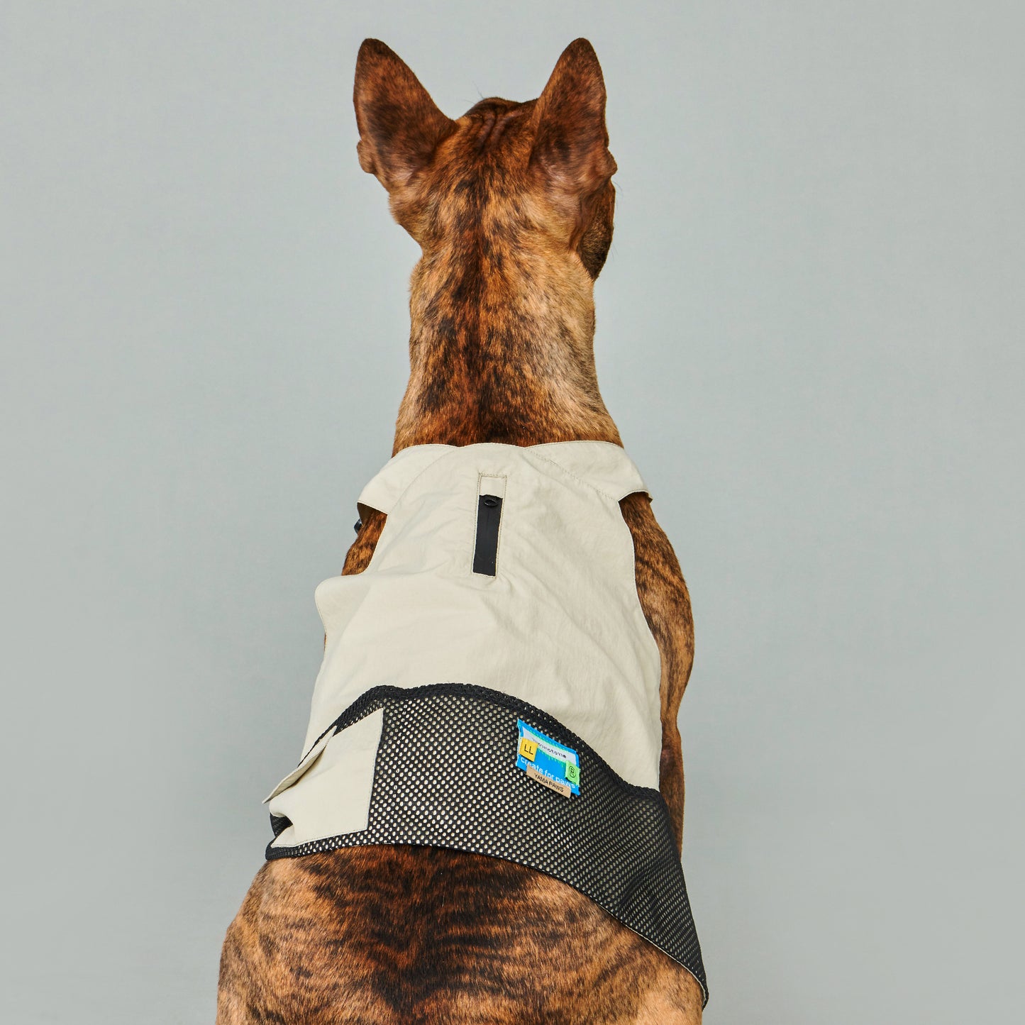 Yama Paws Montagna Vest