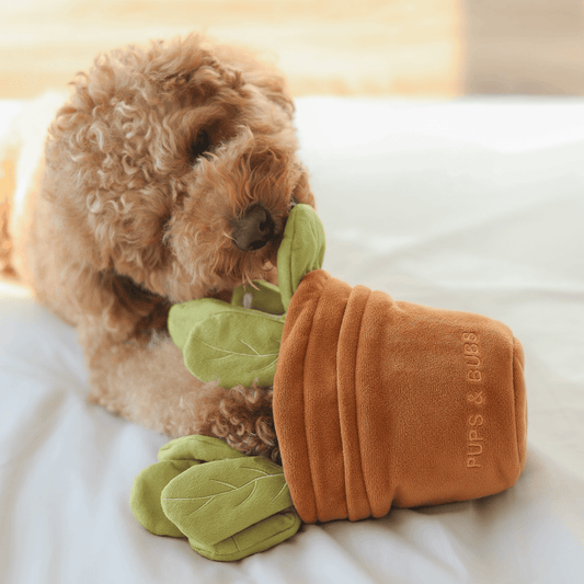 VEGGIE GARDEN // nosework toy