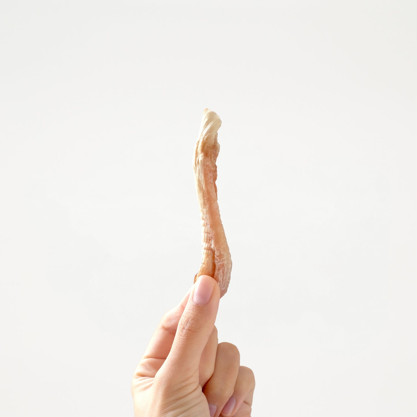 Venison Tendon // 筋筋計較