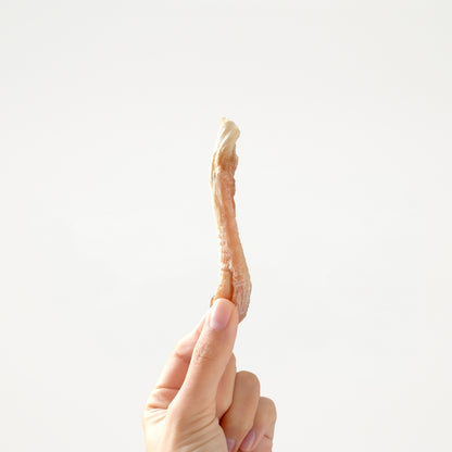 Venison Tendon // 筋筋計較