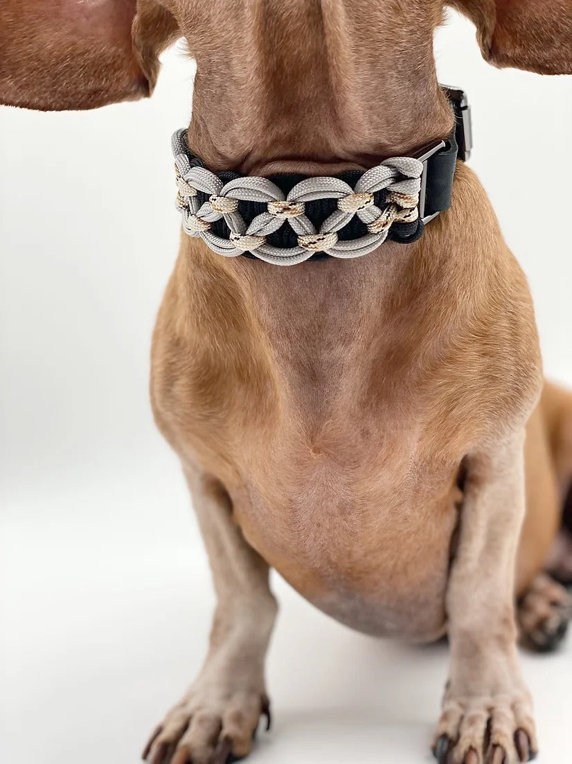 VITTA // martingale collar