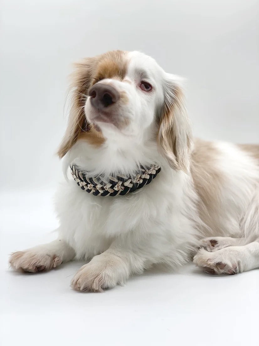 LUXUS // adjustable martingale collar