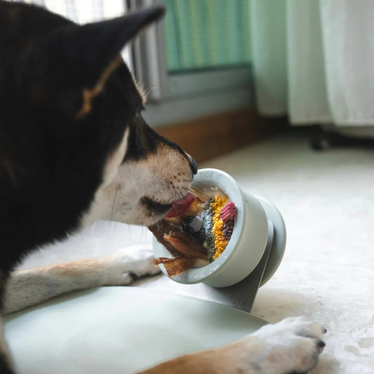 TROVE set // enrichment tool