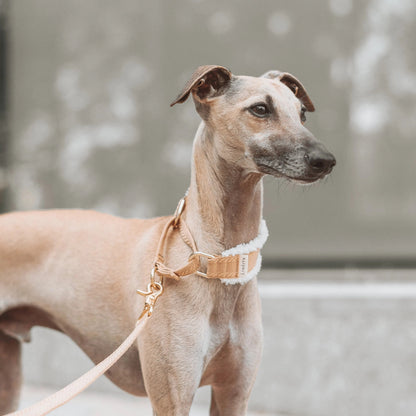 FLUF // fluffy martingale collar