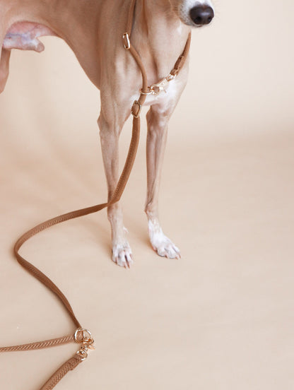 LINJE // crossbody leash
