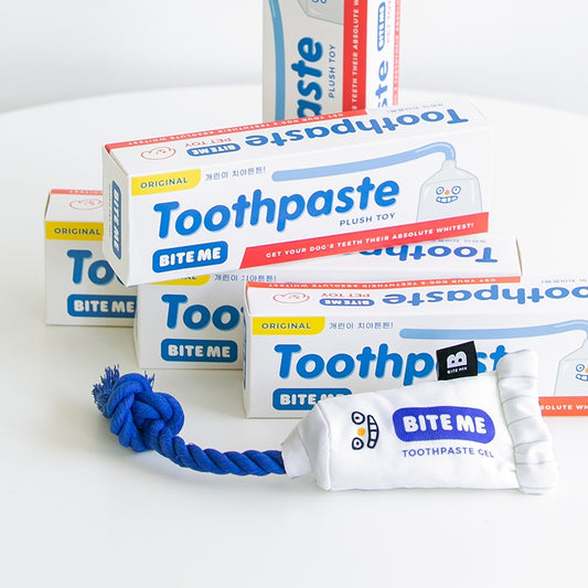 Toothpaste Toy